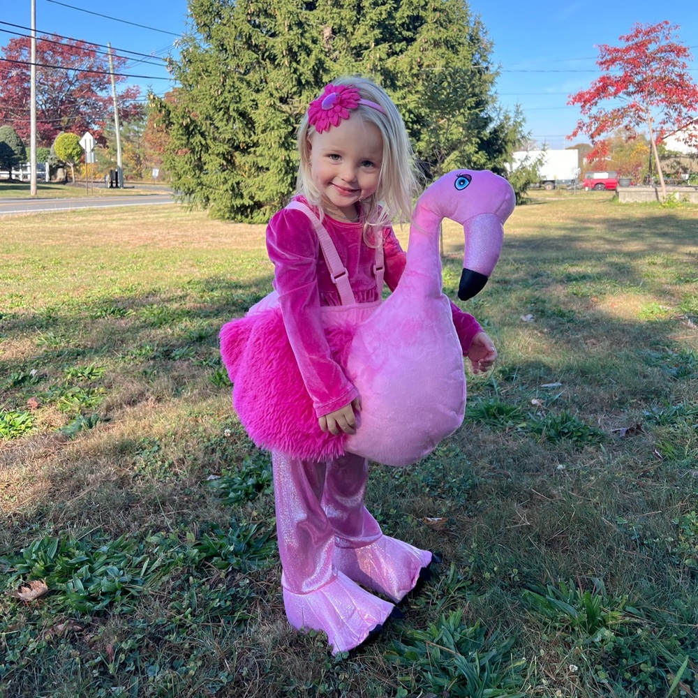 Flamingo Halloween costume